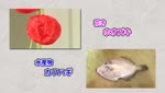旬だより ホオズキ・カワハギ