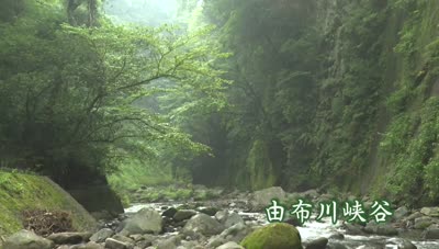 サンプル