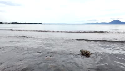 涼を求めて～城下海岸