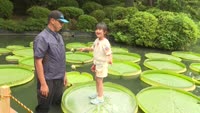 別府市・日出町のお盆の様子