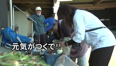 あの町この町ころころミッション！ ～Ｎｏ．４８３　日出町豊岡地区宮の下その２