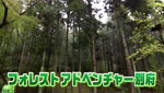 遊園地に遊びに行こう！②フォレスト アドベンチャー・別府