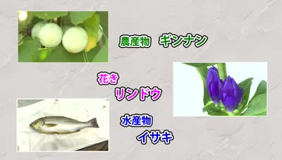 サンプル