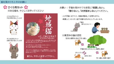 とんぼ回覧板～別府市生活環境課～