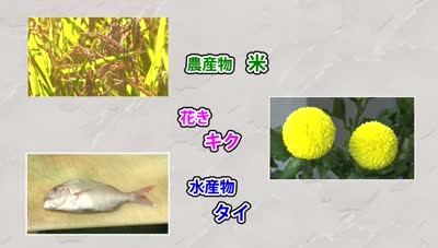 サンプル