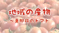 地域の産物～真那井のトマト