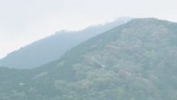 第２８回 べっぷ鶴見岳一気登山大会
