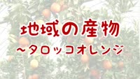 地域の産物　～タロッコオレンジ
