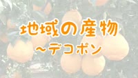 地域の産物～デコポン