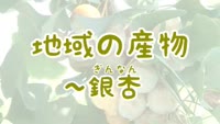 特集　地域の産物～銀杏