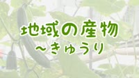 特集　地域の産物～きゅうり