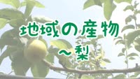 特集　地域の産物～梨