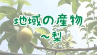 特集　地域の産物～梨